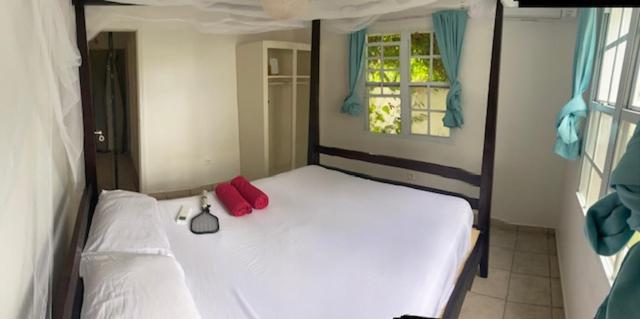 Akunamatata Guest House Grand Case Εξωτερικό φωτογραφία