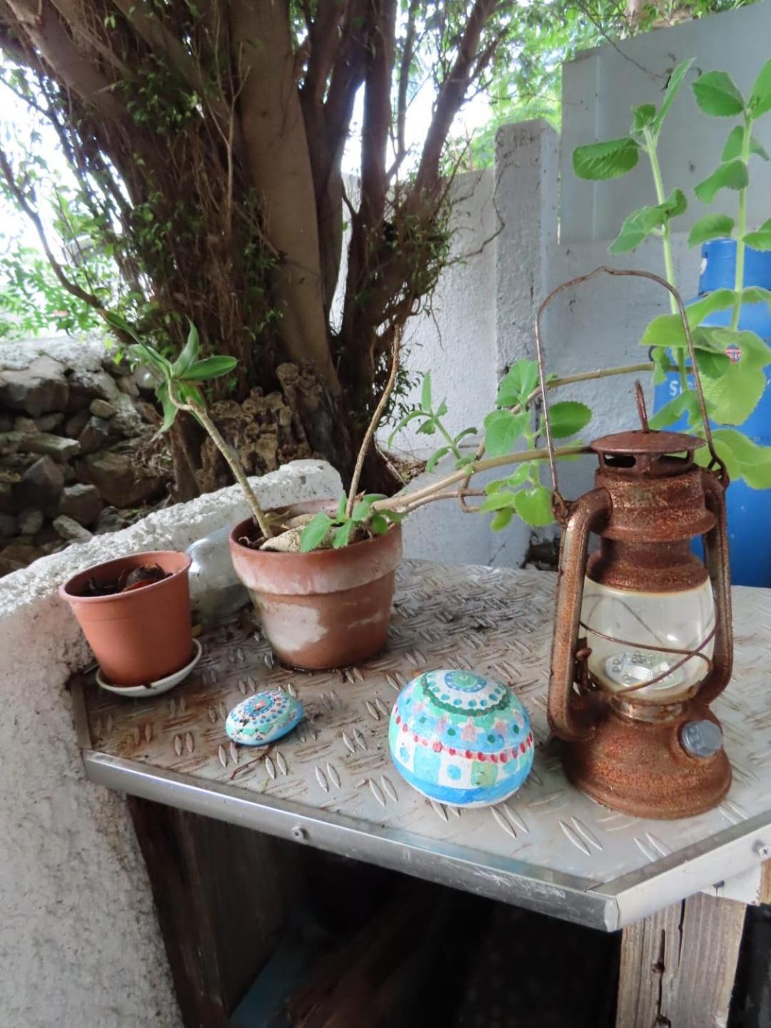 Akunamatata Guest House Grand Case Εξωτερικό φωτογραφία